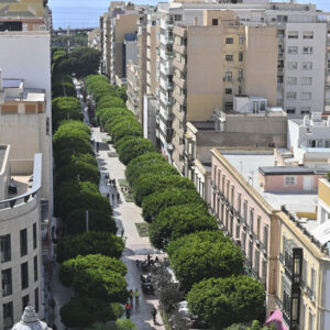 premio-institucion-6